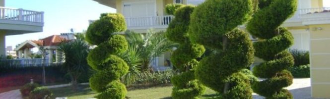 wohnung in belek antalya zu kaufen