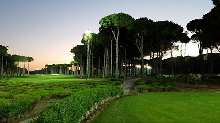 BELEK