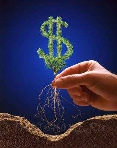 Investment in Turkey