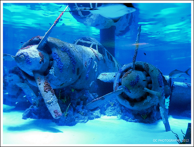 Aquarium In Antalya