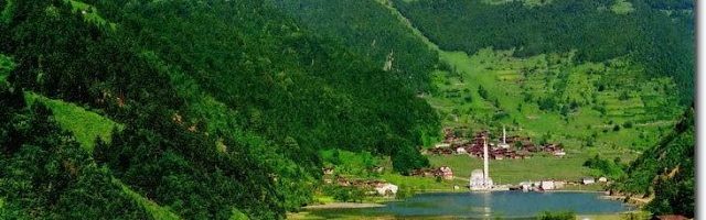 buy property in trabzon