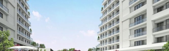 Istanbul Investment Property 