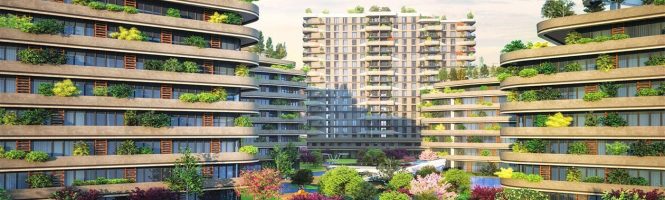Istanbul Turkey Flats | Maximos Turkey Flats