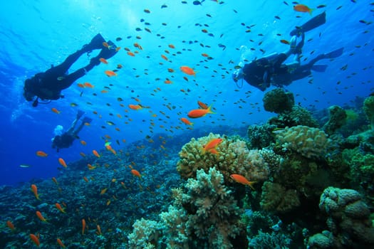 Diving in Turkey