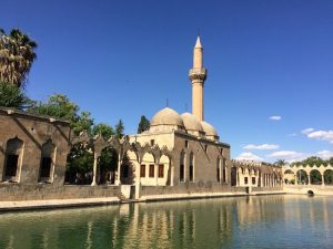 The Pool of Abraham : Balikli Göl in Sanliurfa