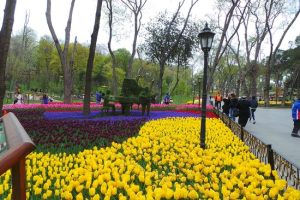 The Sariyer Area Of Istanbul: A Bosphorus GEM 