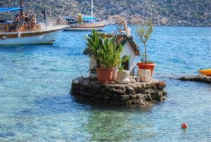 The Simplicity of Simena and My Desire to Return