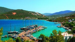 Torba Area Guide