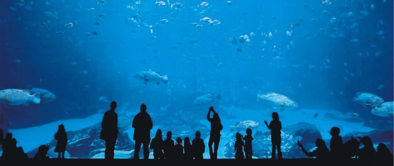 Underwater Worlds In Turkey – Image 1