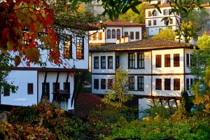 Inland Turkey Houses