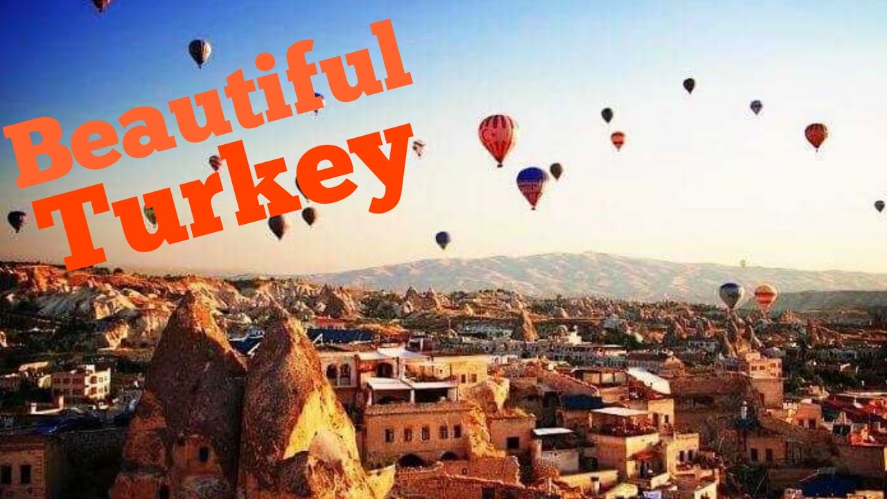 beautiful turkey