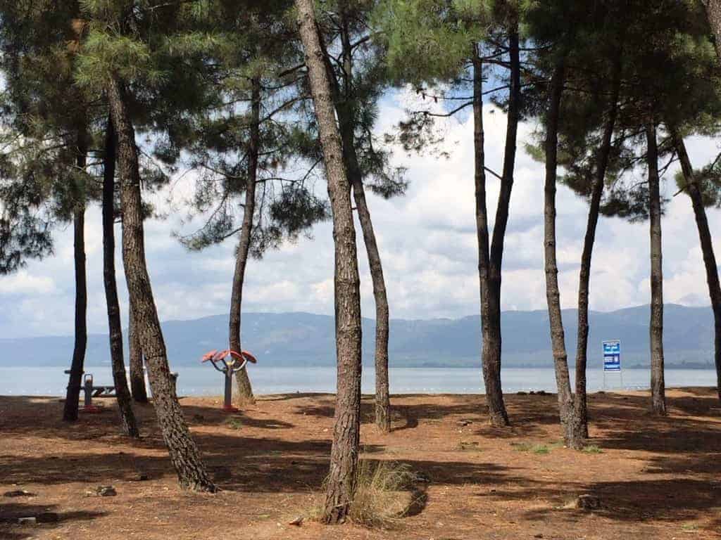 Forest view apartments for sale in Yalova Turkey  4