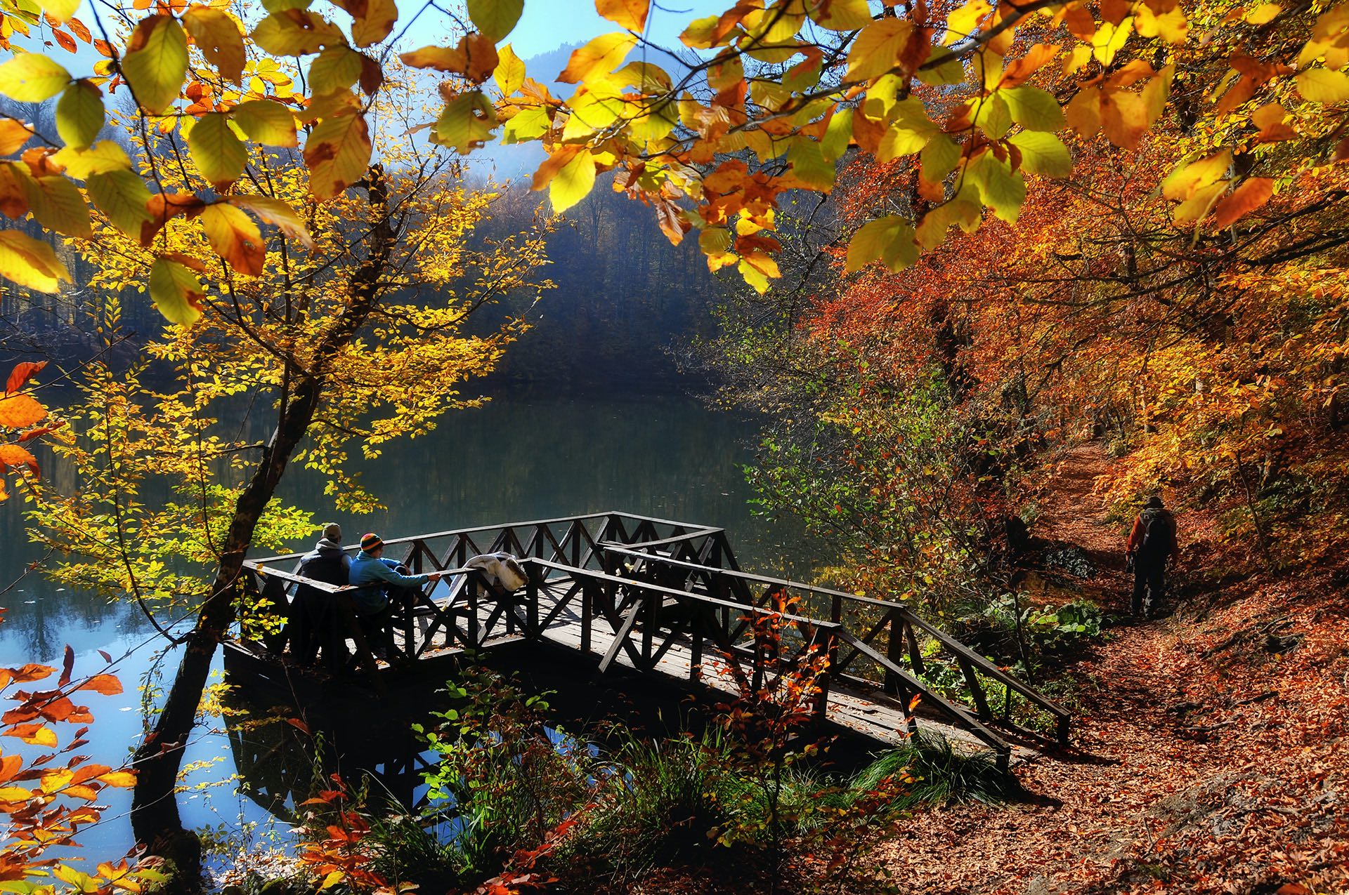 Yedigoller National Park