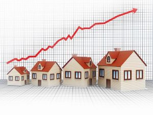 Turkish Real Estate Market Trends